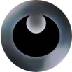 Unlicht